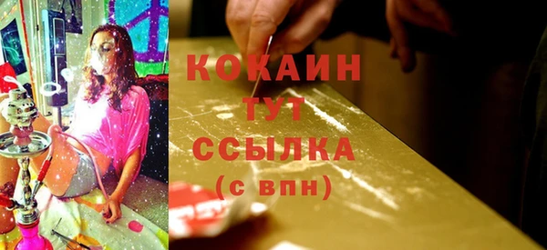 крисы Армянск