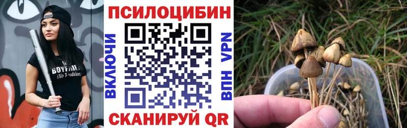 Галлюциногенные грибы Magic Shrooms  Малаховка 