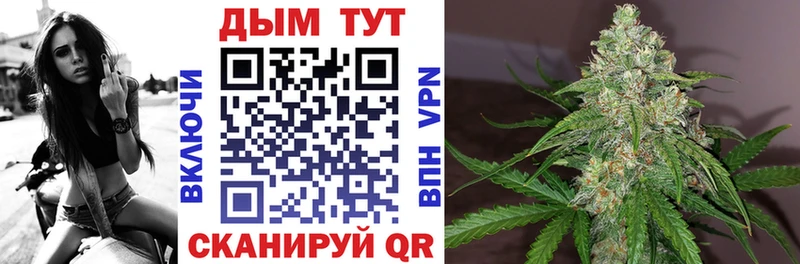 купить наркотики сайты  Малаховка  Шишки марихуана Bruce Banner 